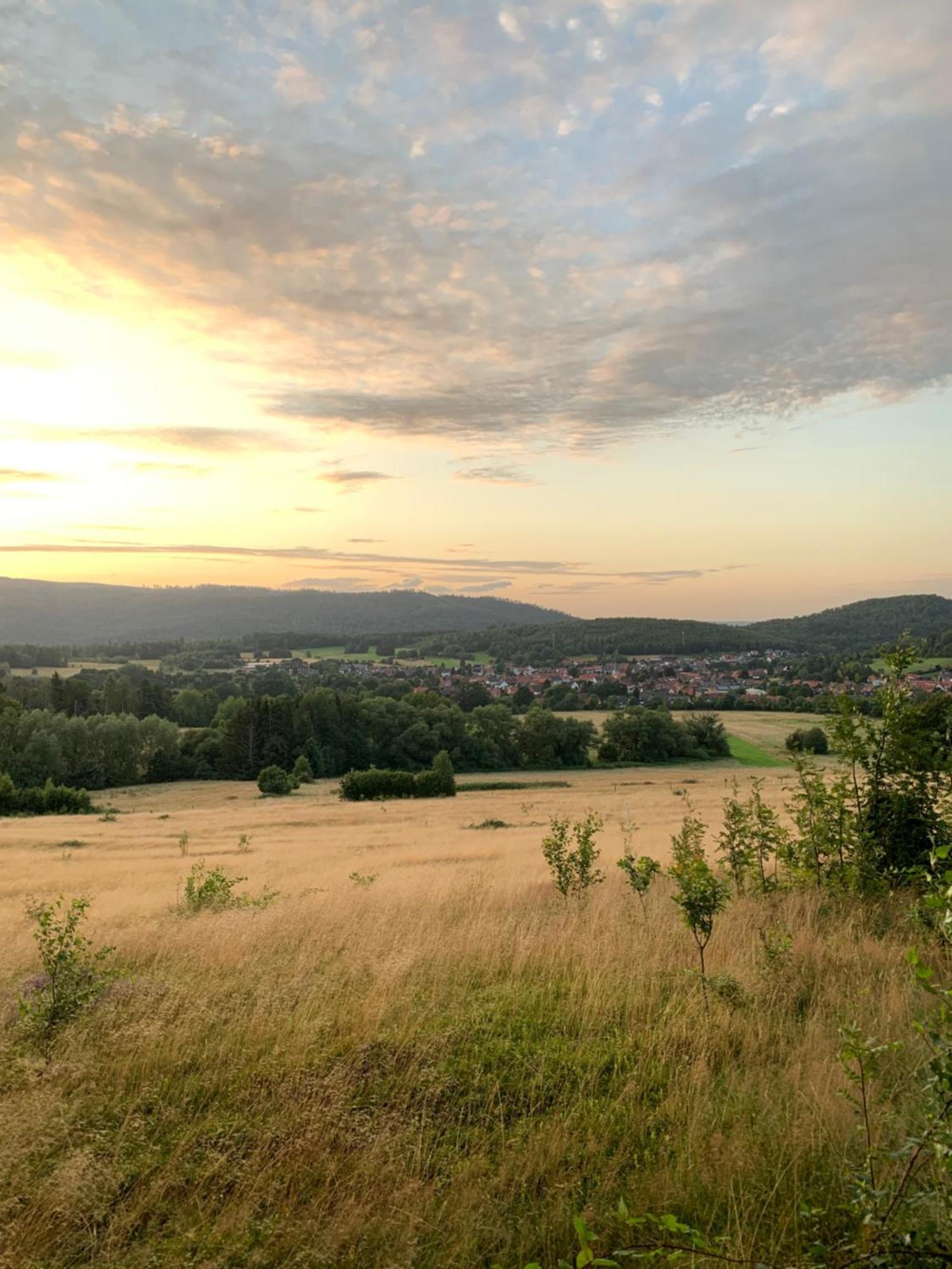 Wolfs-Blick Villa Langelsheim Exteriör bild
